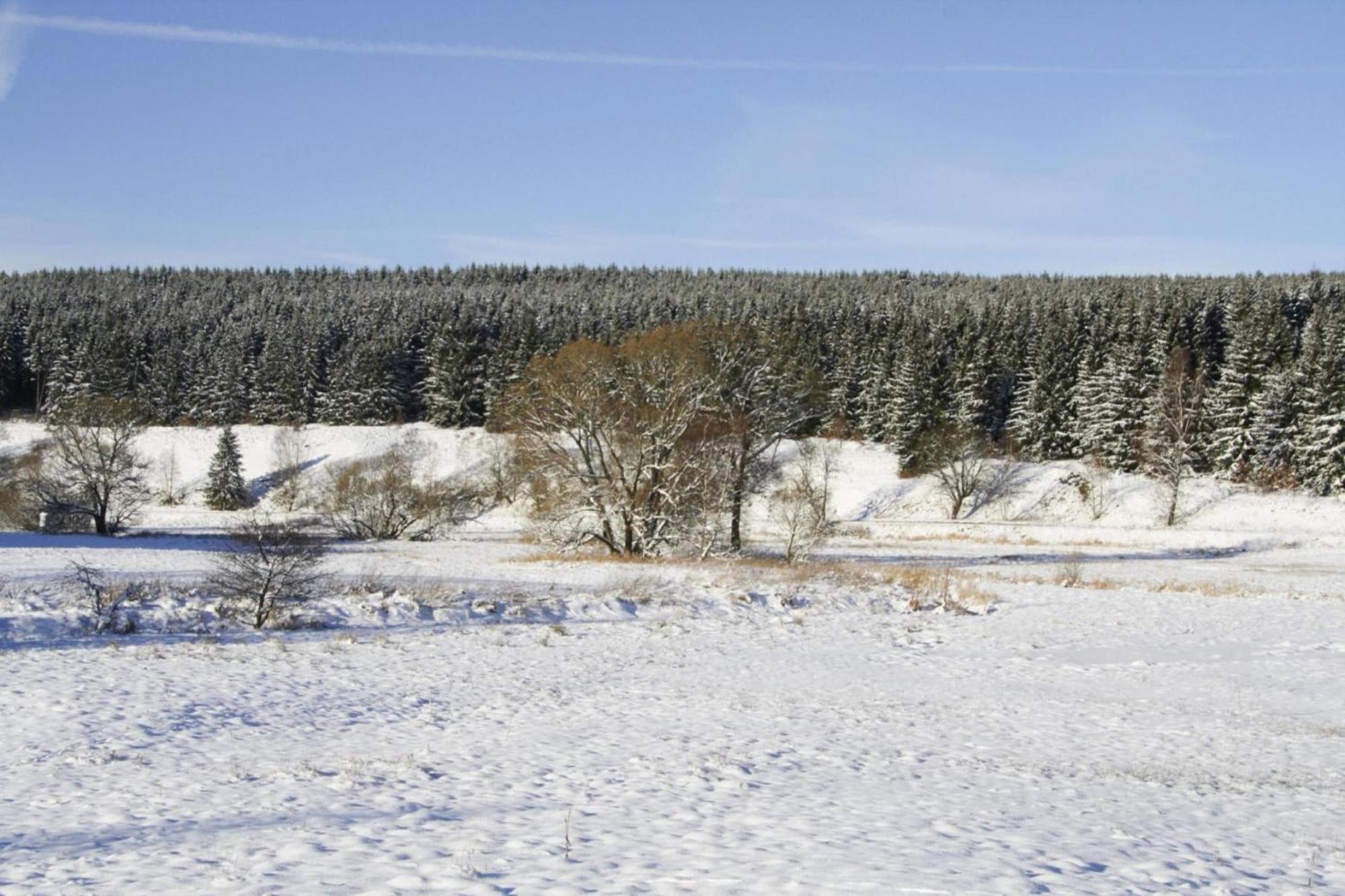 Apartment Braunlage Dış mekan fotoğraf