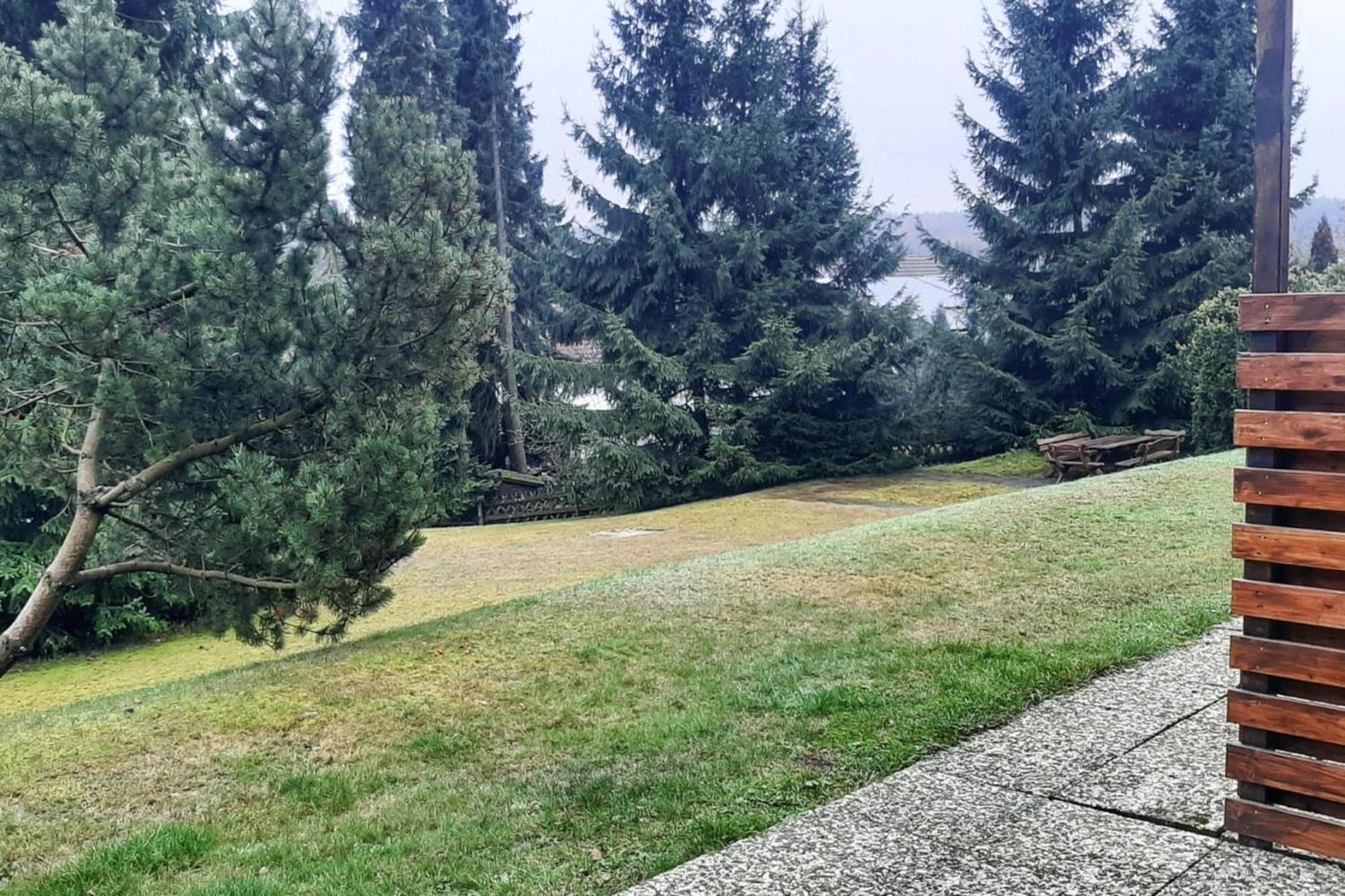 Apartment Braunlage Dış mekan fotoğraf