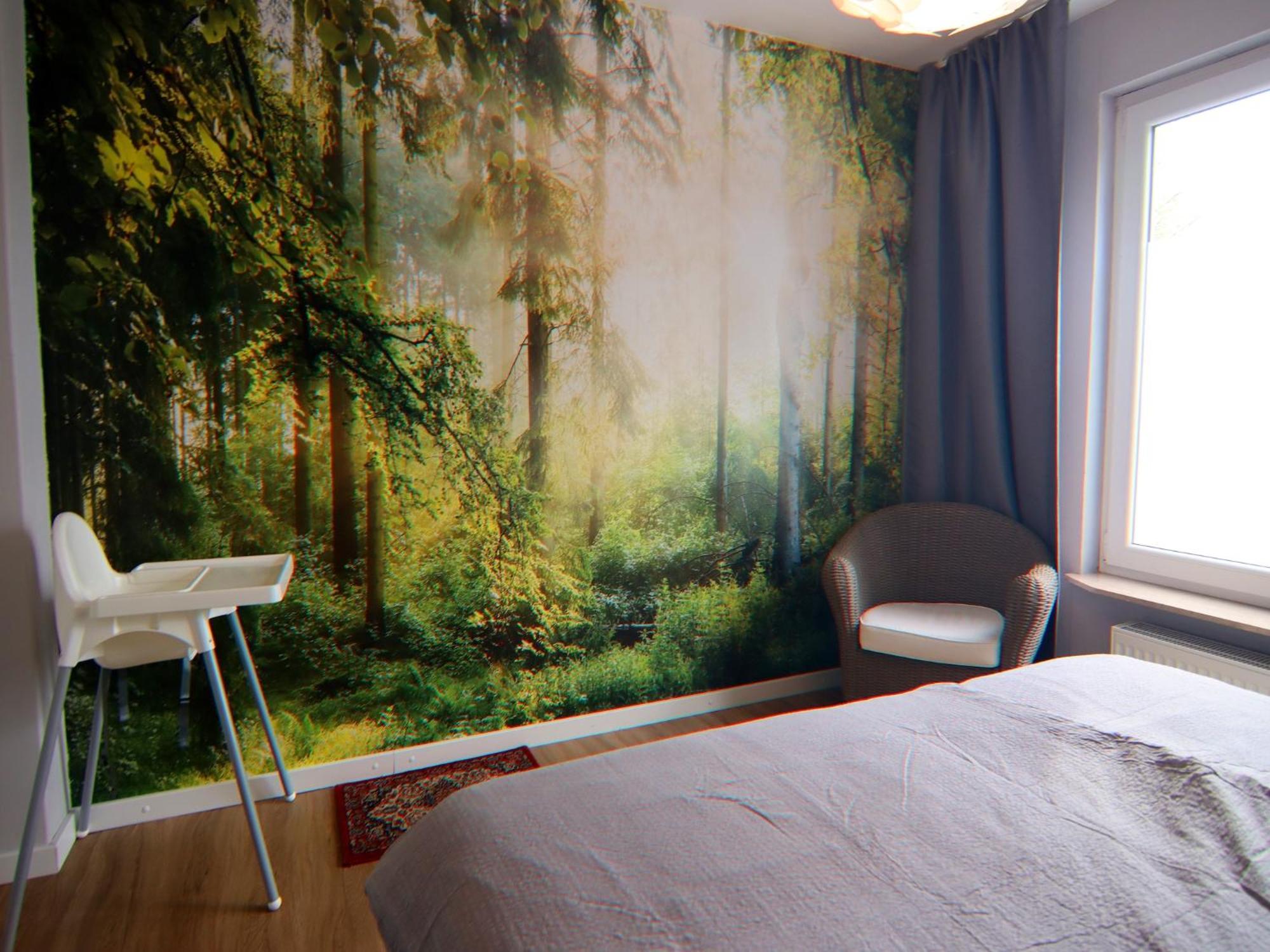 Apartment Braunlage Dış mekan fotoğraf