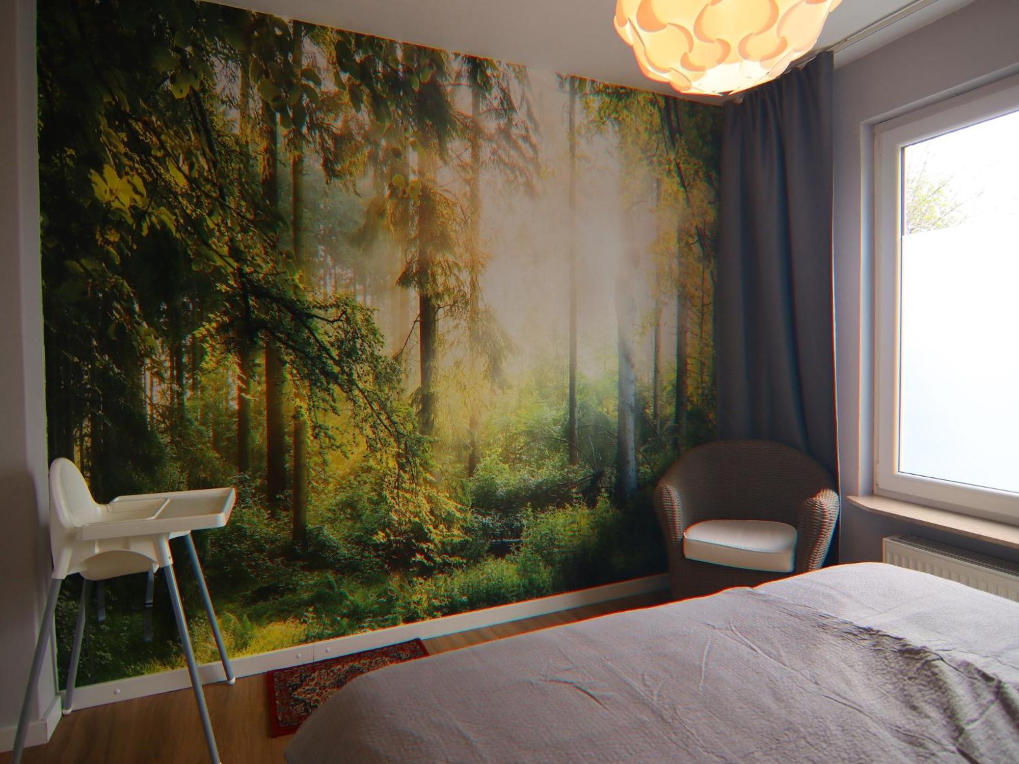 Apartment Braunlage Dış mekan fotoğraf